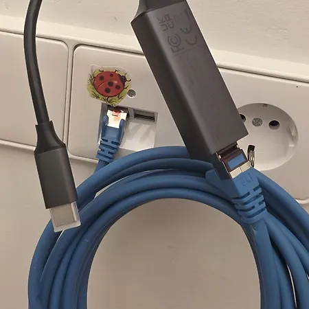 Exotic Tropical Palace - Comfyhome Stuttgart