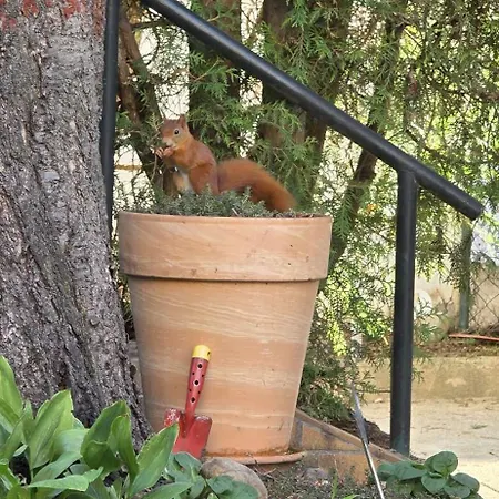 Exotic Tropical Palace - Comfyhome * Stuttgart