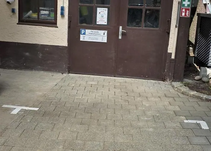 Exotic Tropical Palace - Comfyhome Stuttgart