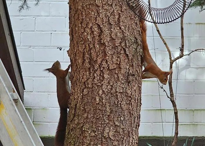 Lejlighed Exotic Tropical Palace - Comfyhome