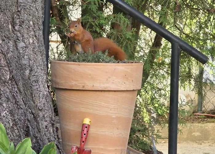 Exotic Tropical Palace - Comfyhome * Stuttgart