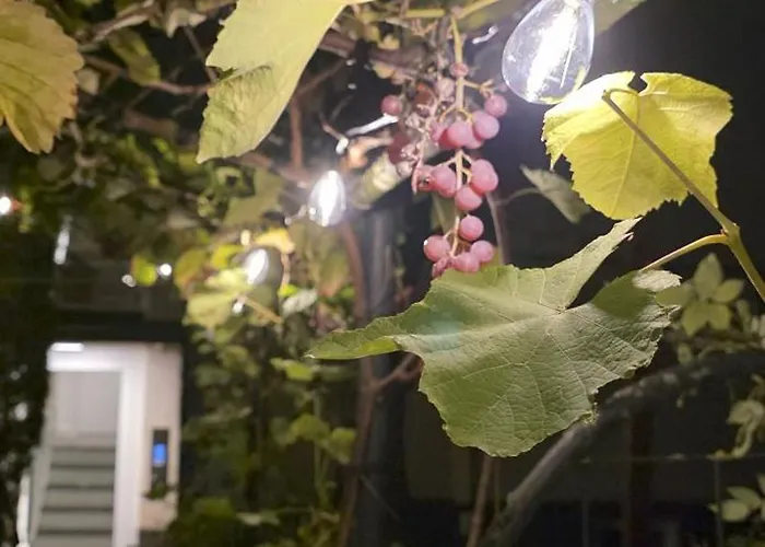 Exotic Tropical Palace - Comfyhome Lejlighed Stuttgart