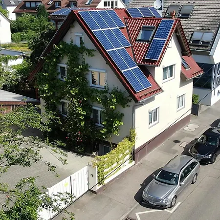 Exotic Tropical Palace - Comfyhome Apartmán *