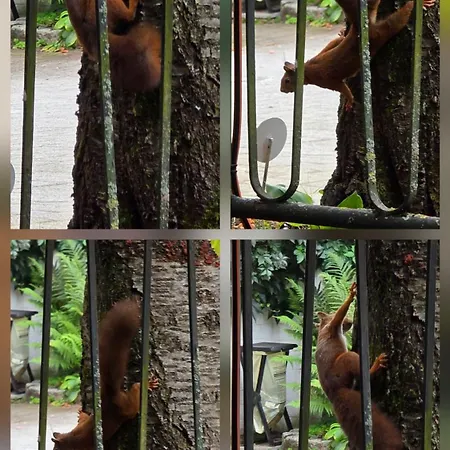 Apartmán Exotic Tropical Palace - Comfyhome Štutgart