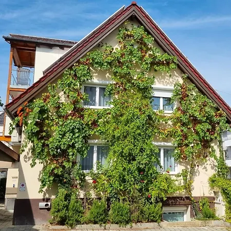 Apartmán Exotic Tropical Palace - Comfyhome