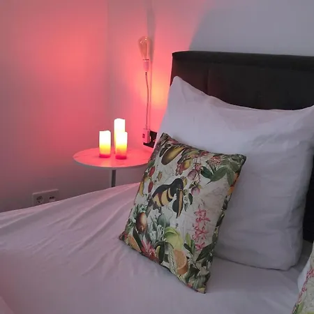 Exotic Tropical Palace - Comfyhome Apartmán