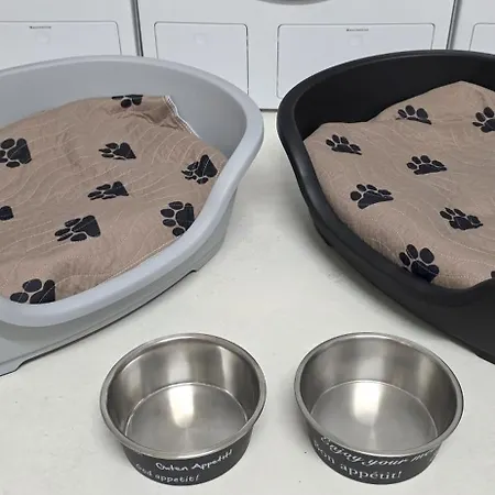 Exotic Tropical Palace - Comfyhome Apartmán