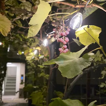 Exotic Tropical Palace - Comfyhome Apartmán Štutgart