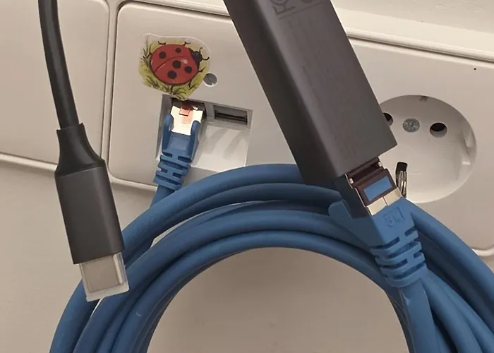 Exotic Tropical Palace - Comfyhome Stuttgart