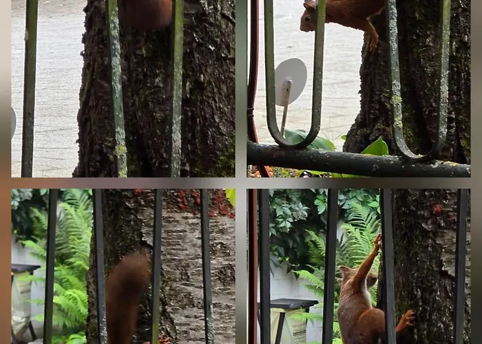 Apartman Exotic Tropical Palace - Comfyhome Stuttgart