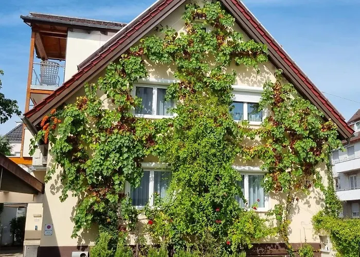 Apartman Exotic Tropical Palace - Comfyhome