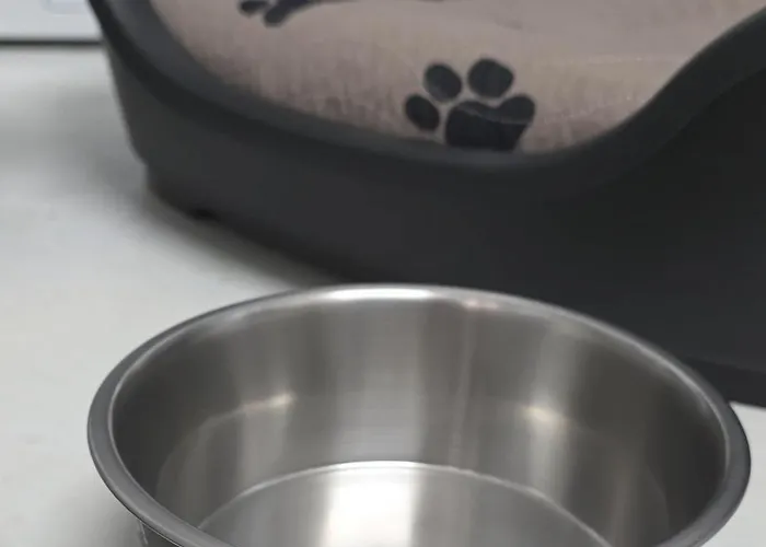 Exotic Tropical Palace - Comfyhome Stuttgart